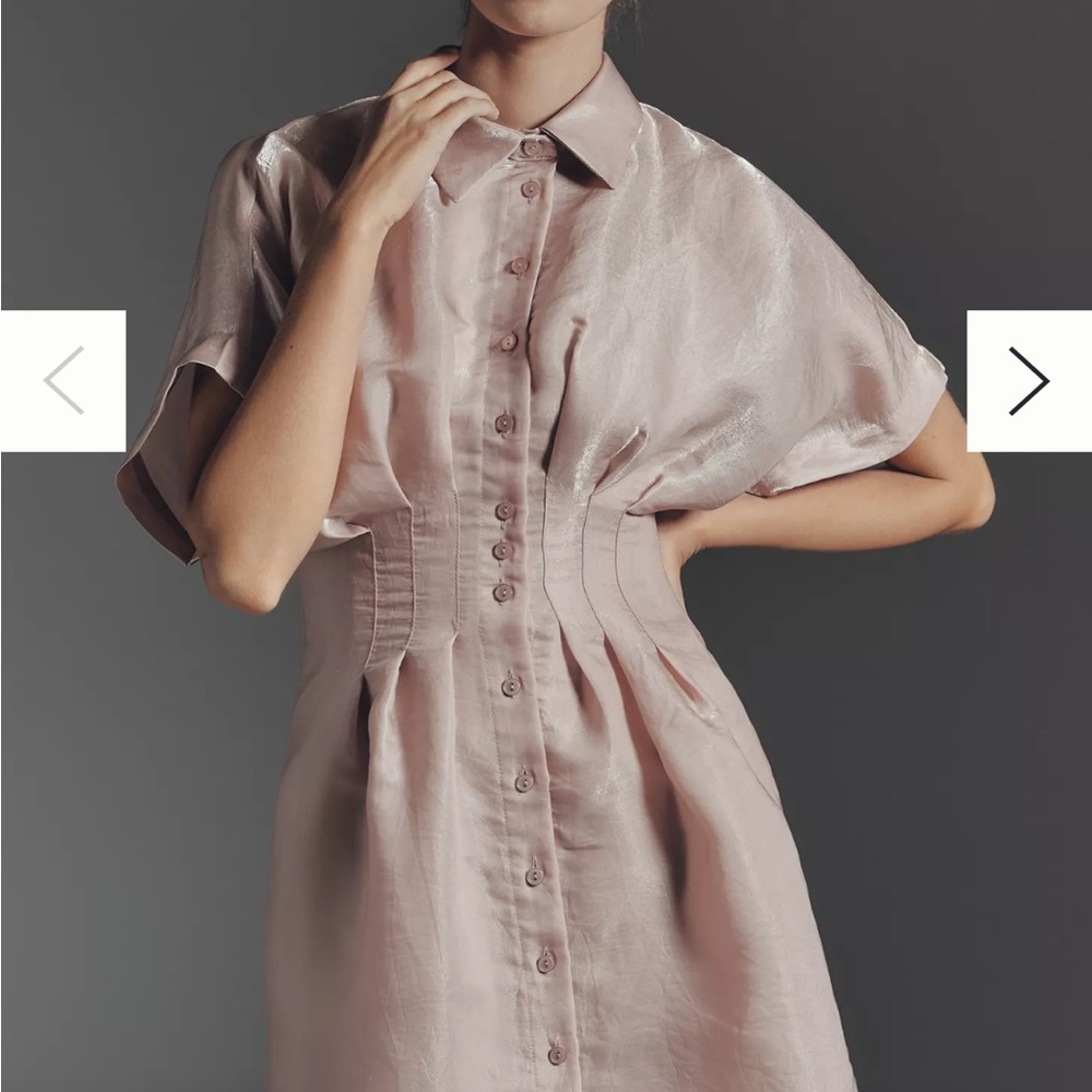 The Tobie Organza Mini Shirt Dress by Exquise